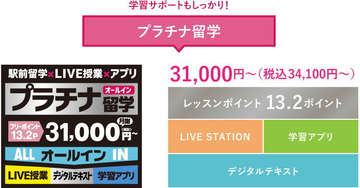 学習サポートもしっかり！プラチナ留学30.000円～