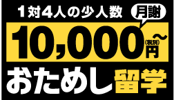 ポッキリ留学