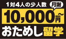 おためし留学