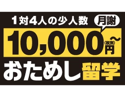 ポッキリ留学
