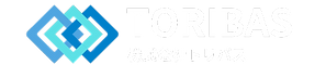トリバス 