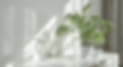 Our Company (22) (2).png
